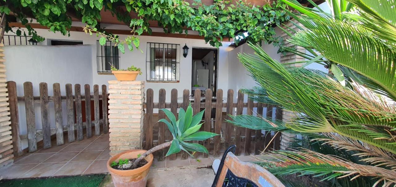 Estudios Con Piscina Compartida En Conil. Cadiz Ngoại thất bức ảnh